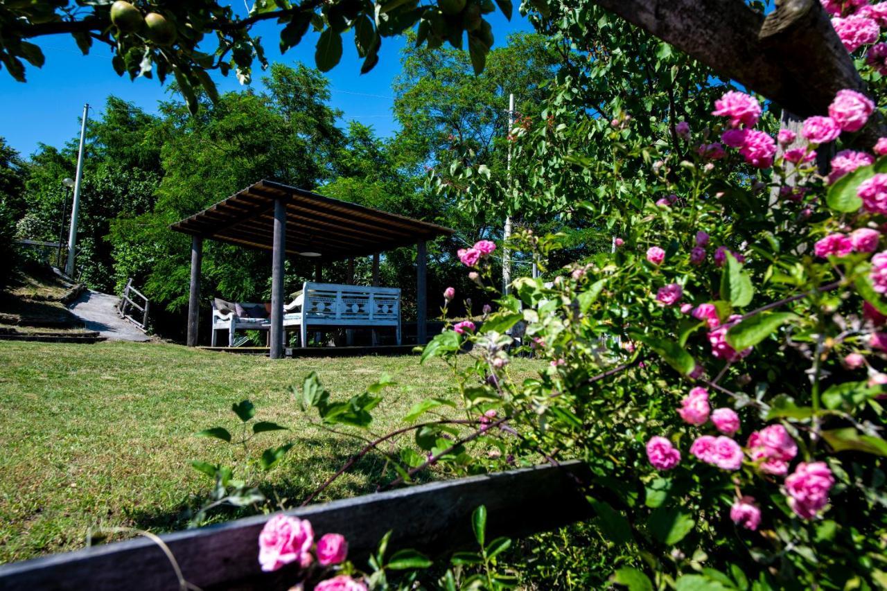 211 - Appartamento Acacia, Terrazza Giardino E Piscina Carro ภายนอก รูปภาพ