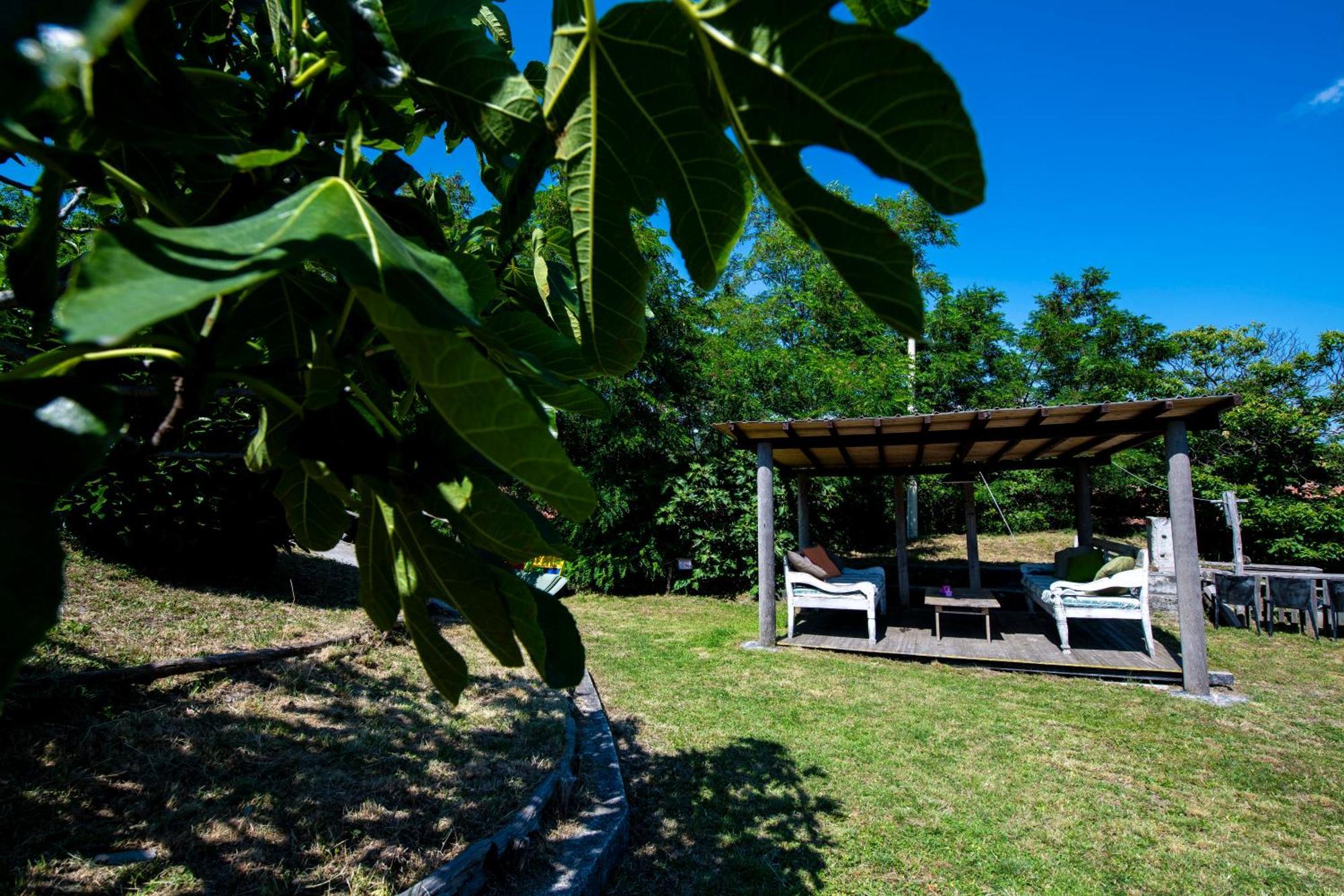211 - Appartamento Acacia, Terrazza Giardino E Piscina Carro ภายนอก รูปภาพ